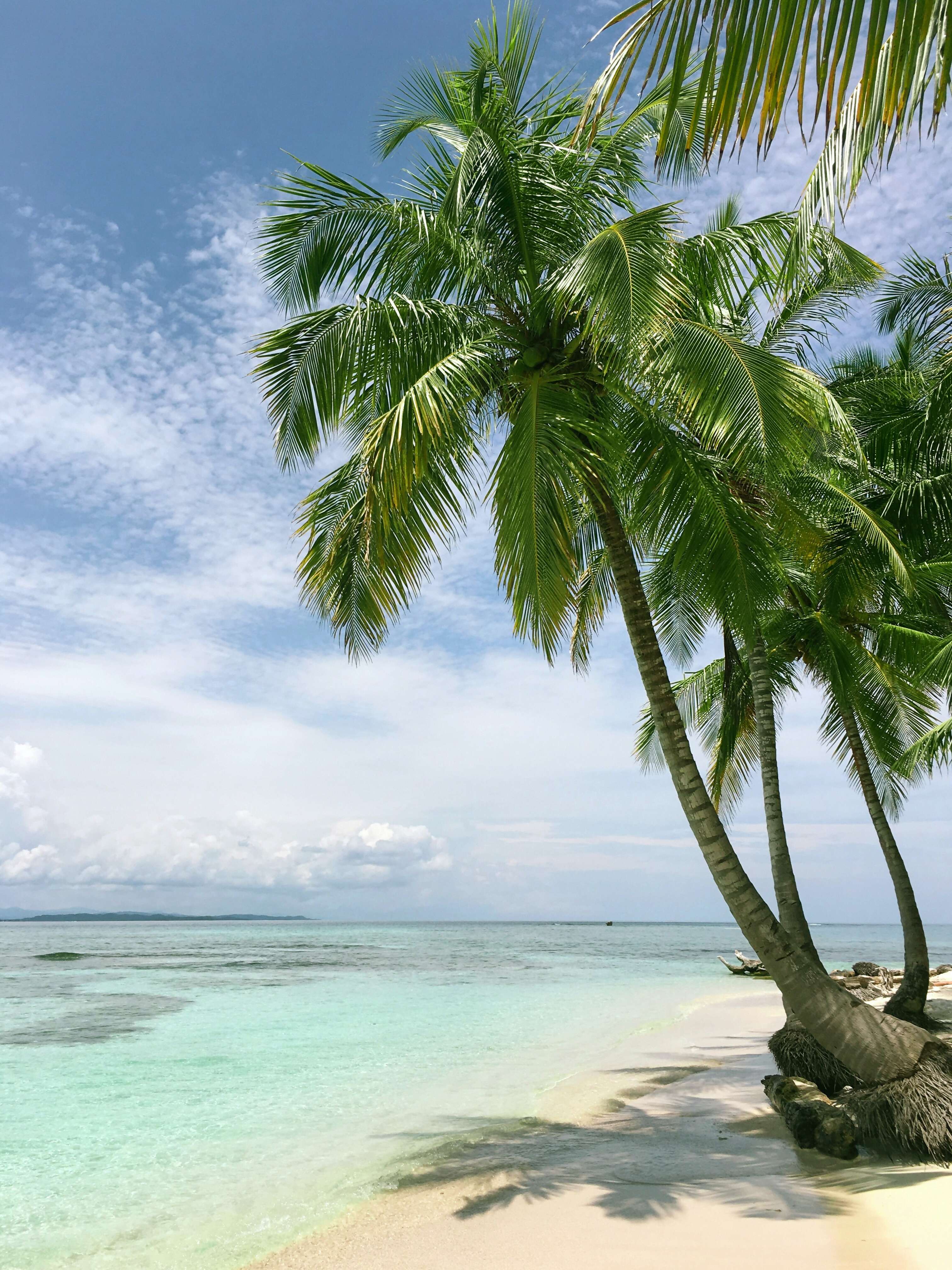 Wave season and why book a cruise between January and March?
