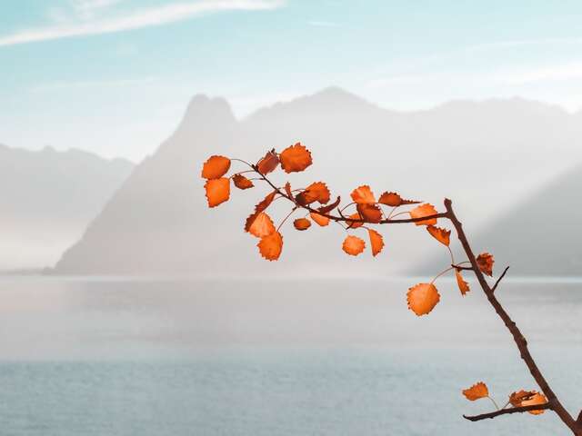 JWH TRAVEL BITS AND MORE...September 13, 2019