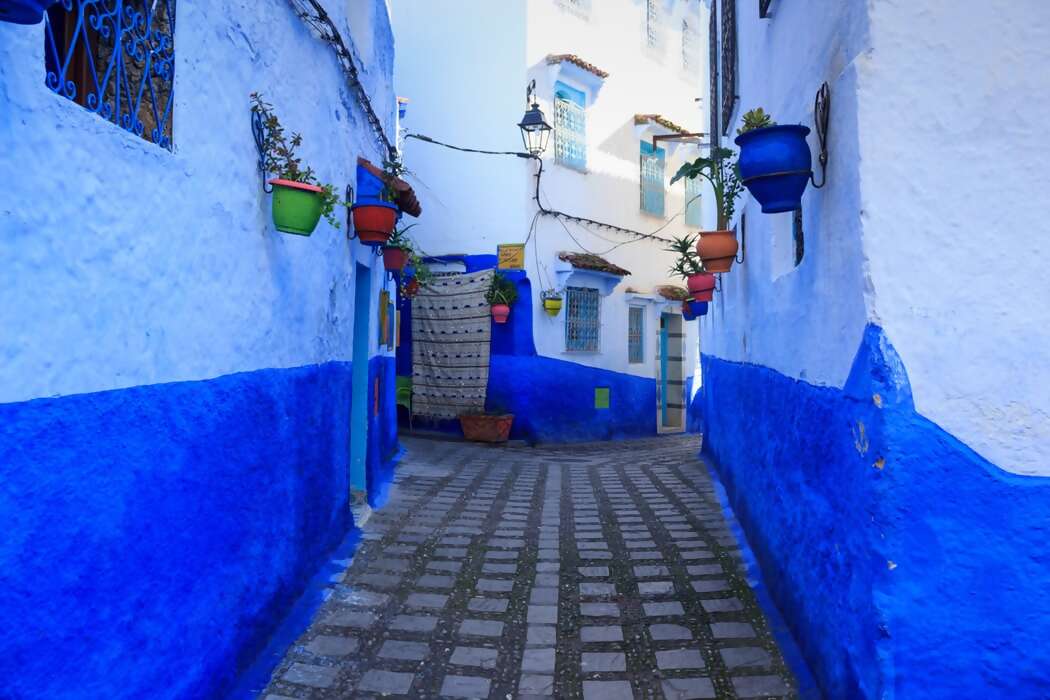 Morocco Real Food Adventure