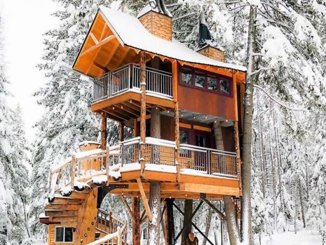 Quick, how many spiral staircases should a treehouse have?