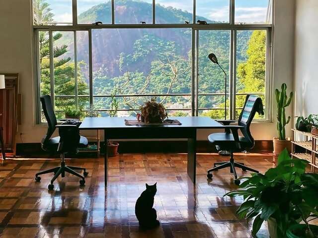 Viviana’s eclectic house is a perfect introduction to the bohemian Santa Teresa neighborhood, where restored colonials mingle wit