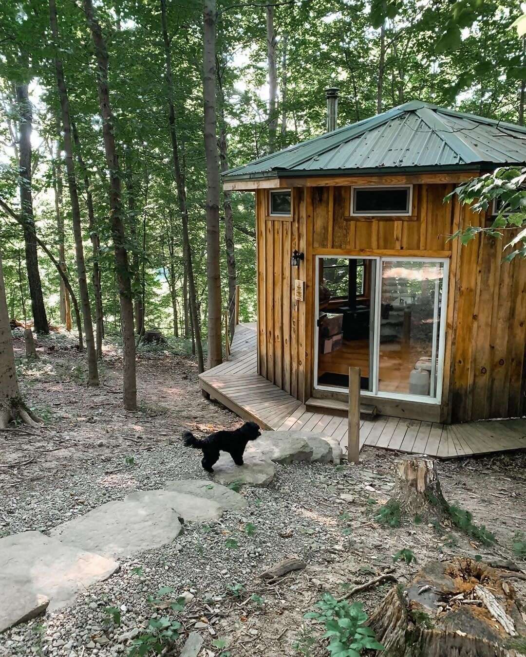 Hand-built of wood cut right on the property, this tiny solar-powered retreat lets you disconnect from the grid and recharge your