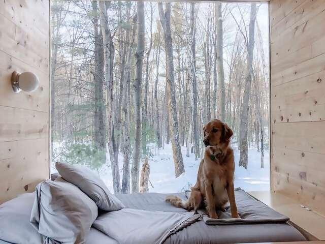 The toughest part of your stay in this cozy cube of a tiny cabin is posing for a picture when you’d rather be staring out the win