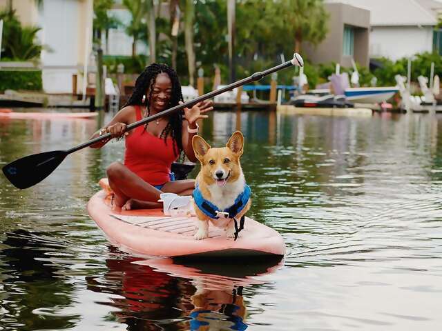 Now you can paddleboard with a corgi on @AirbnbExperiences