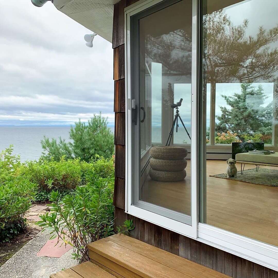 Charlotte’s bungalow is a slice of wild serenity only 80 miles from NYC