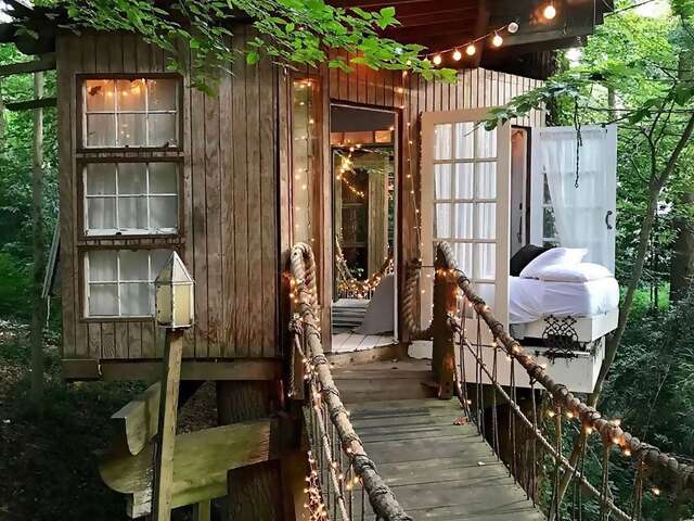 Superhosts Peter and Katie’s urban treehouse hasn’t let fame go to its head