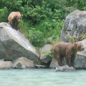 Alaska's Iditarod with Fairbanks