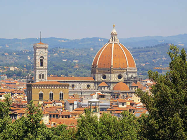 Spotlight on Florence