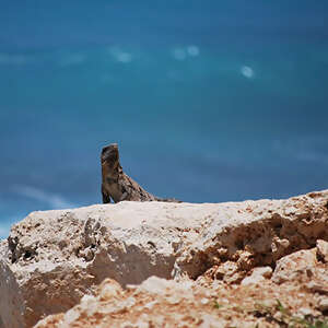 The Wonders of Mexico's Yucatan with Cancun