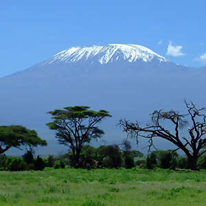 East Africa Private Safari