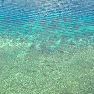 Great Barrier Reef & Sydney