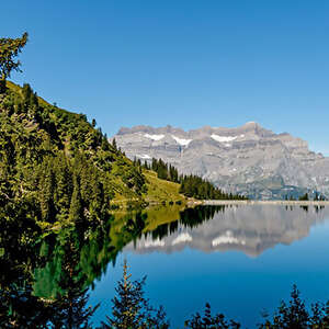 Romantic Rhine with Bavarian Highlights