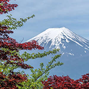 Timeless Japan