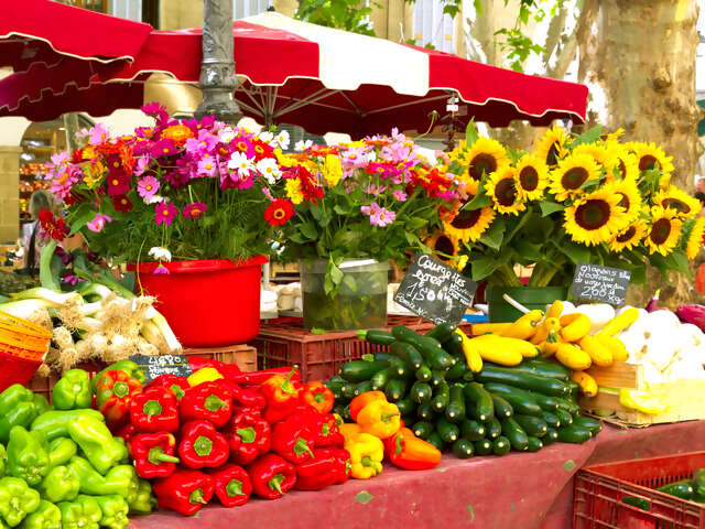 Spotlight on the French Riviera