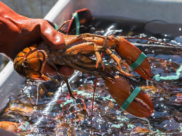 Maritimes Coastal Wonders featuring the Cabot Trail