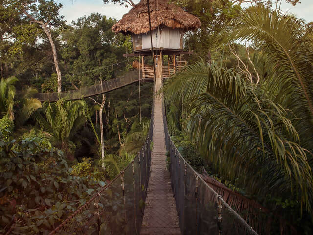 Inland & Amazon