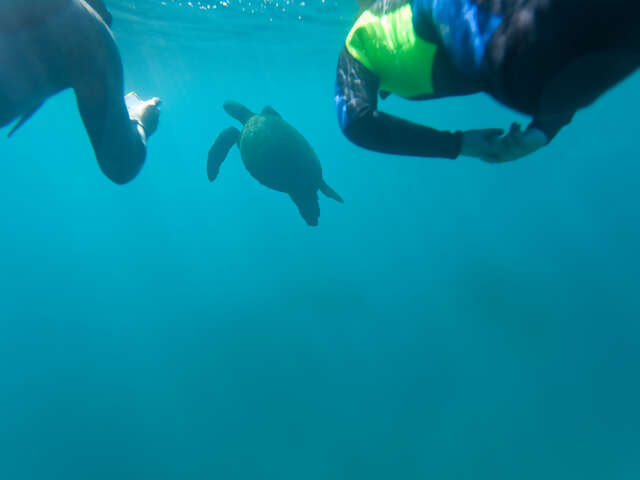 Galápagos — Central, South & East Islands aboard the Monserrat