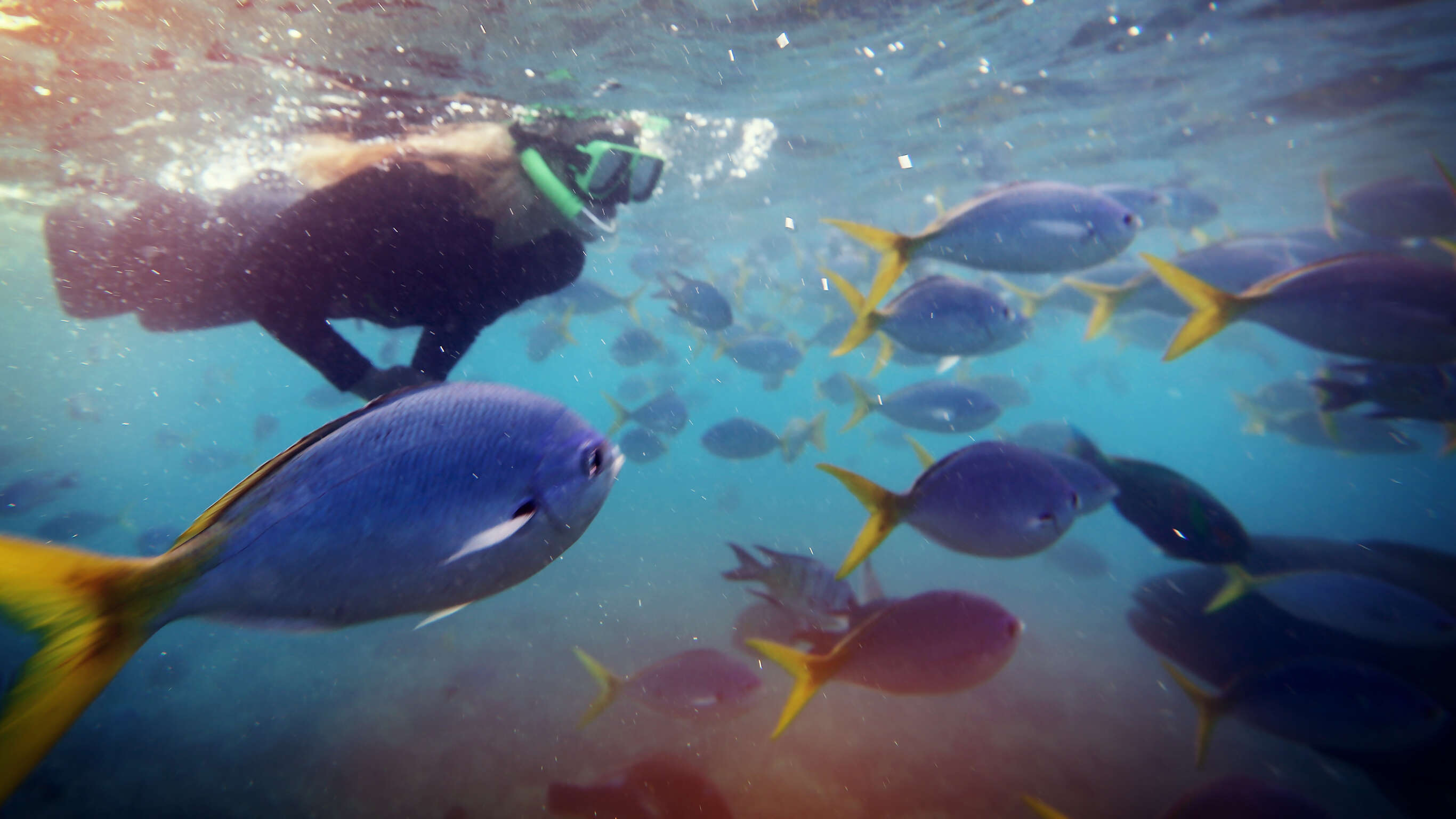 Best of Australia — Plus