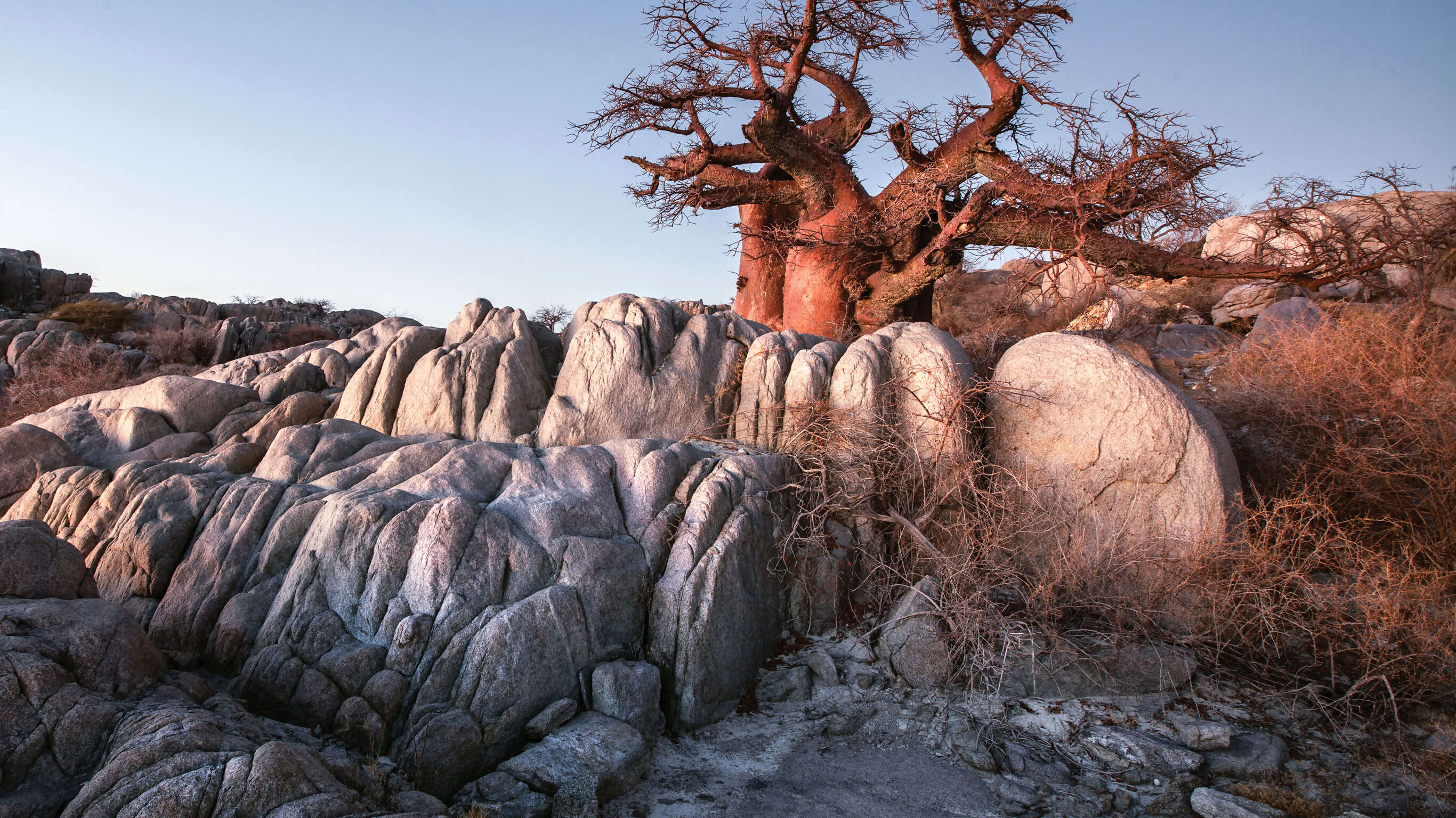 Kruger, Victoria Falls & Botswana Safari