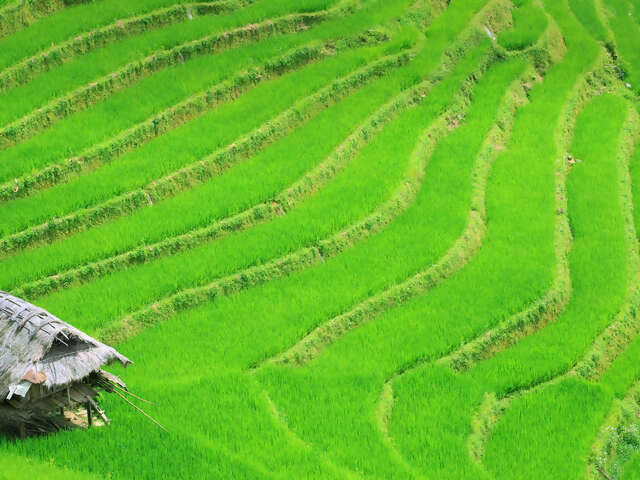 Cape Town Day Tour: South African Wine (full day)