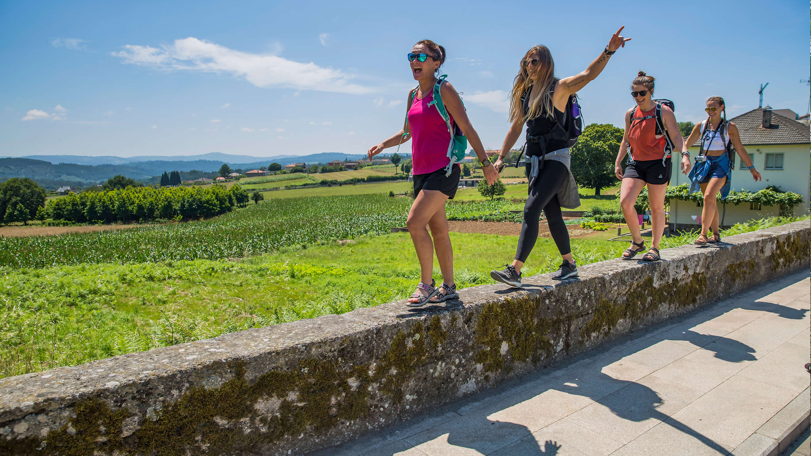 Walk the Camino de Santiago — Plus