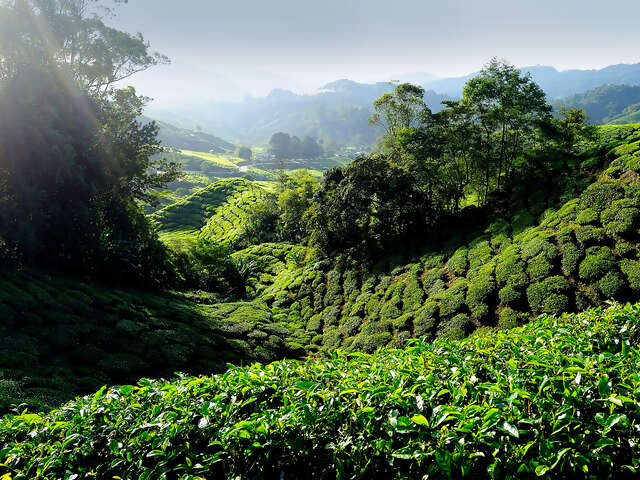 Colours of Asia – Singapore to Bangkok