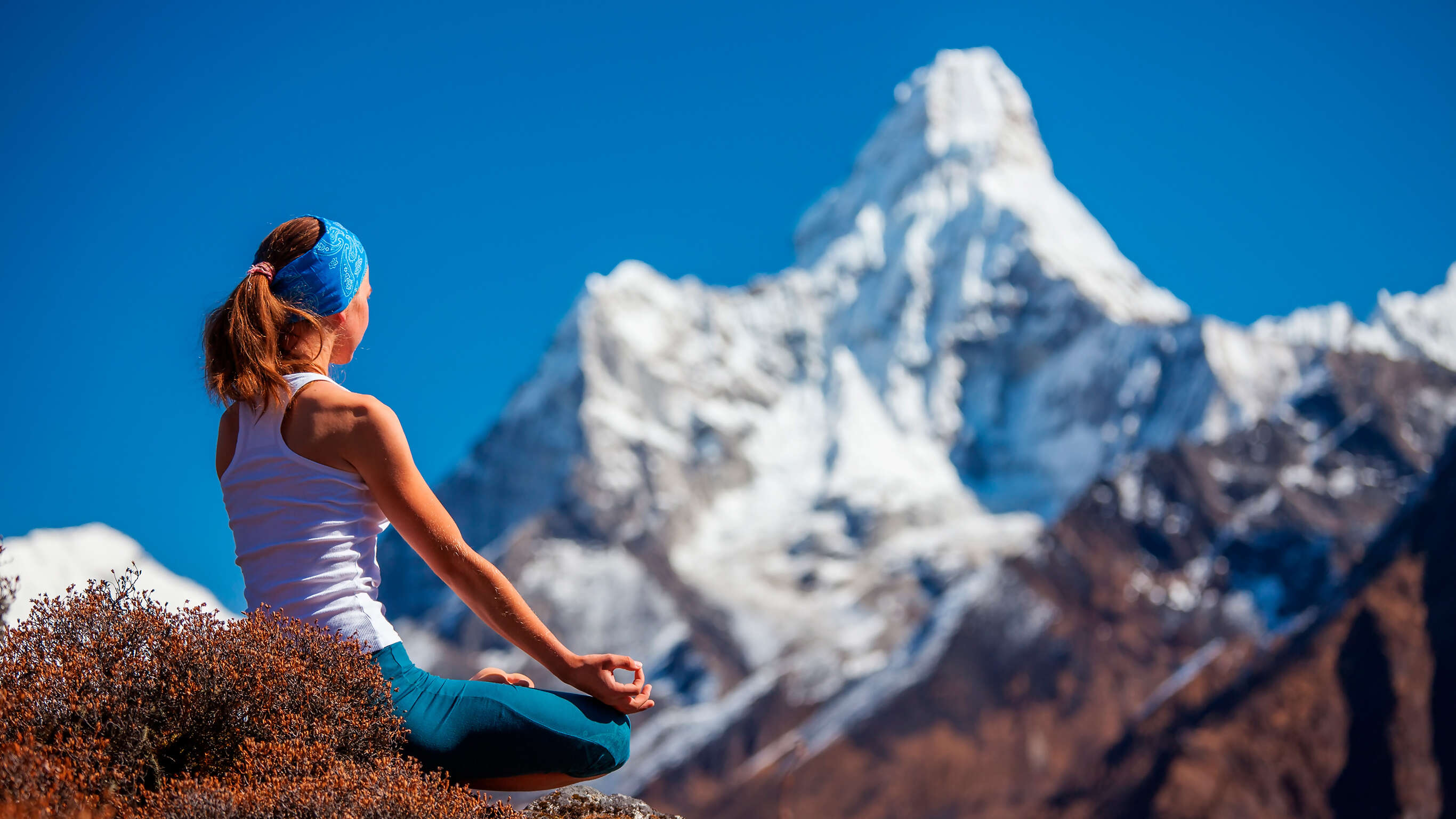 Wellness India