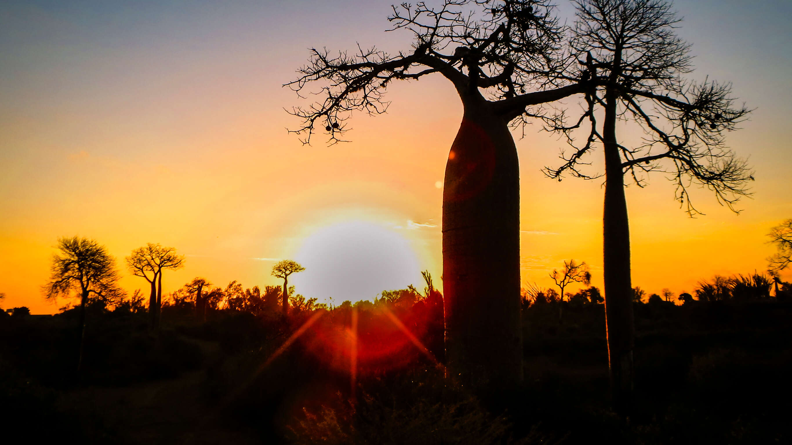 Madagascar - Baobab & Tsingy Explorer