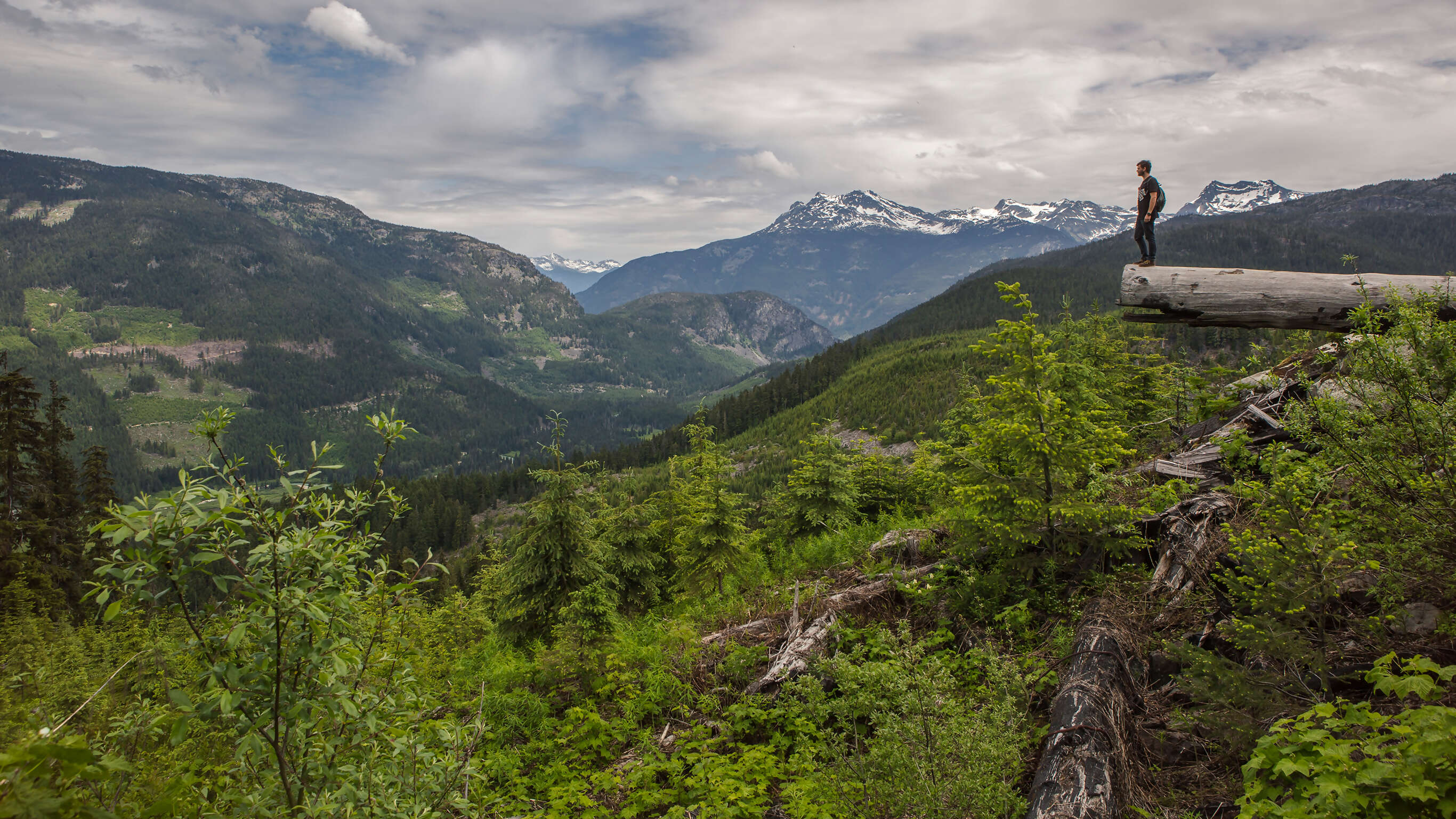 Canadian Rockies Express