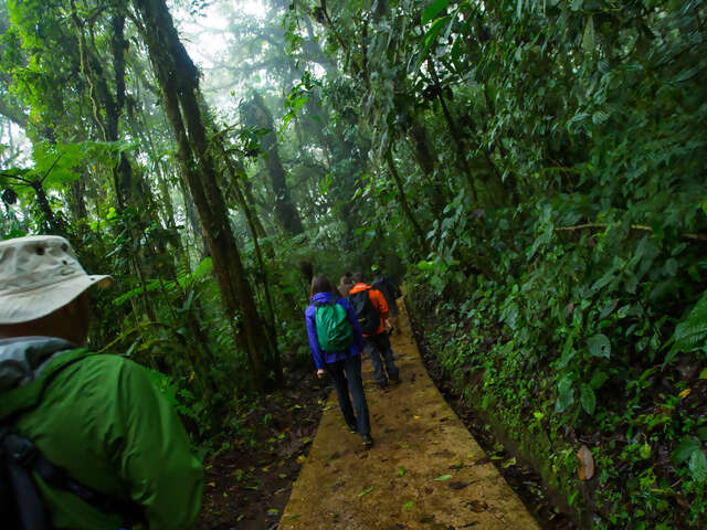 Classic Costa Rica