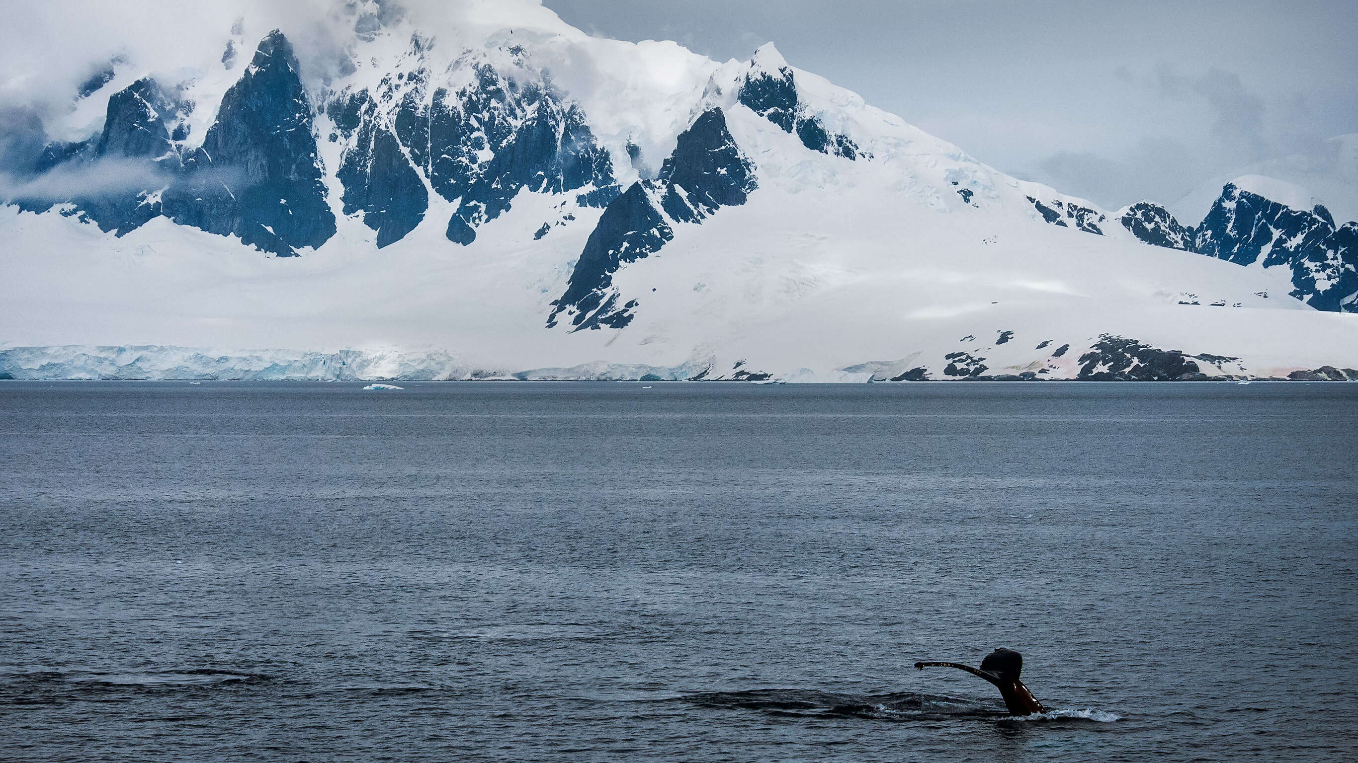 Journey to the Antarctic Peninsula
