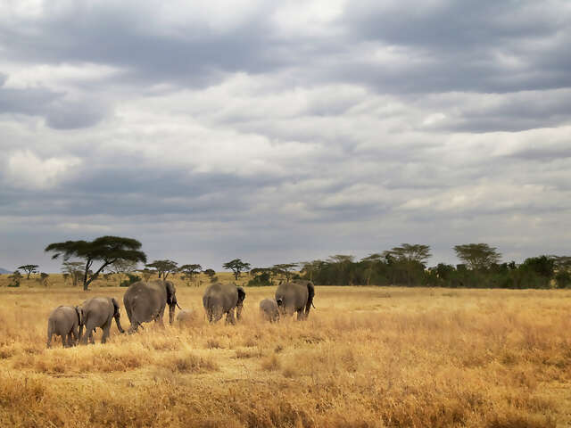 Tanzania Camping Adventure