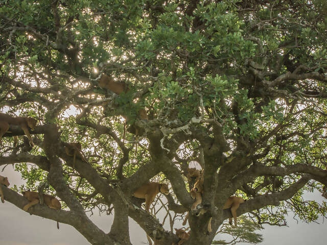 Nairobi to Joburg Overland: Craters & Camping