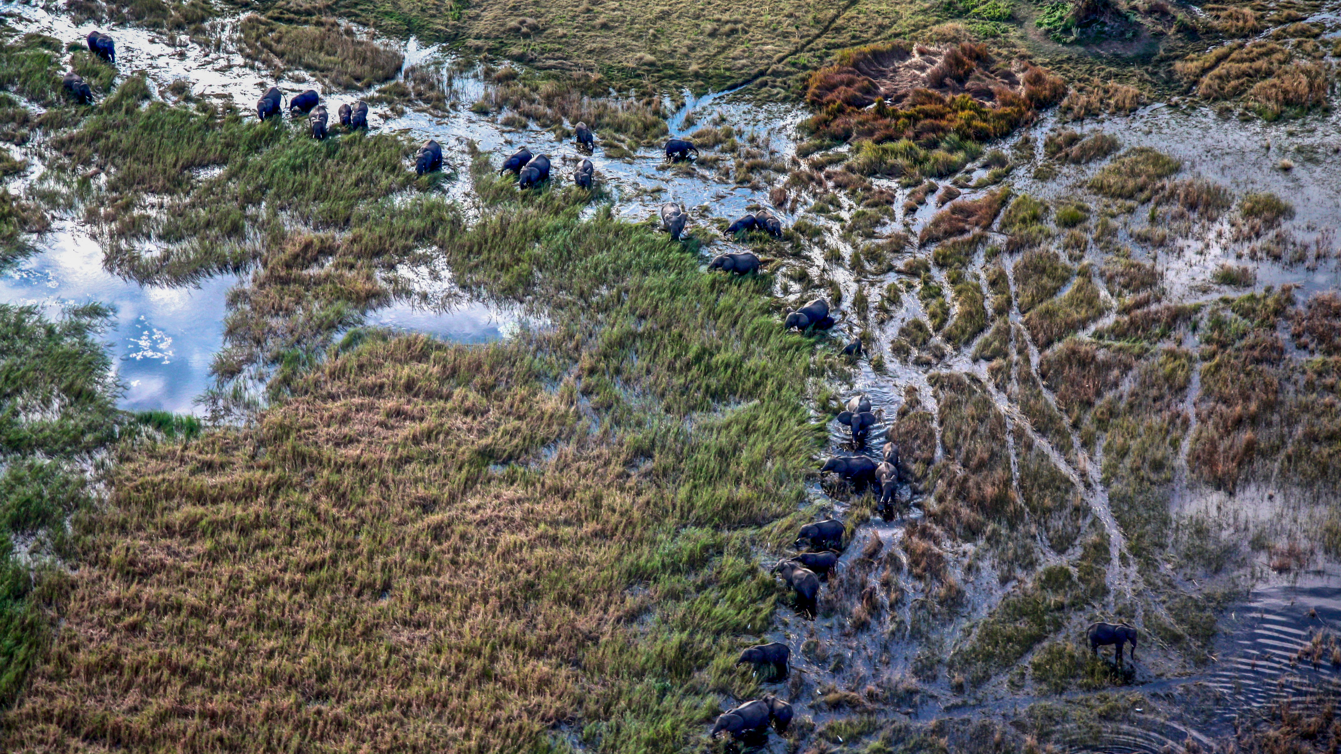 Southern Africa Safari Experience