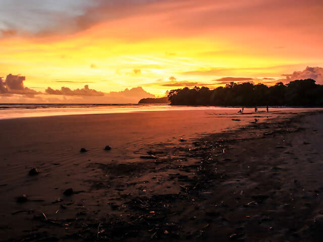 Best of Panama