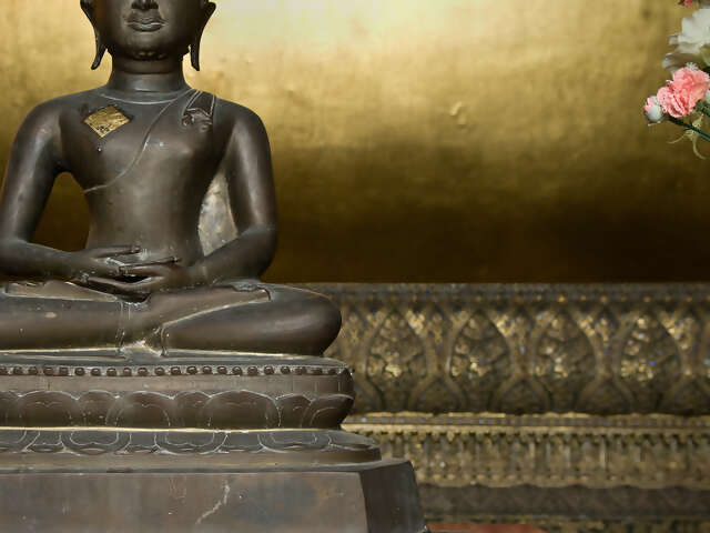 Northern Thailand Experience