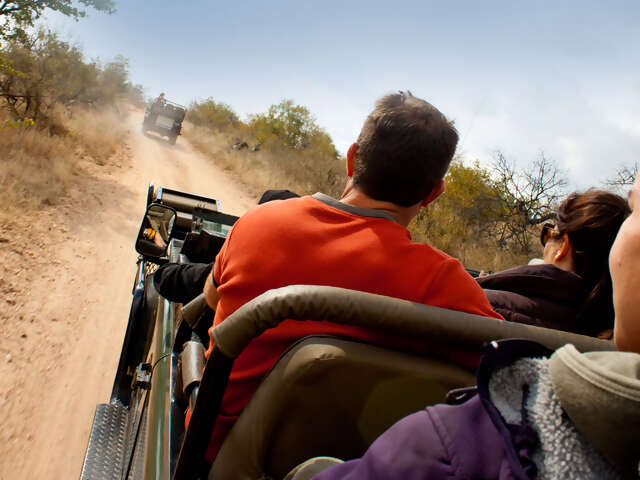 Kruger, Cape Town & Falls