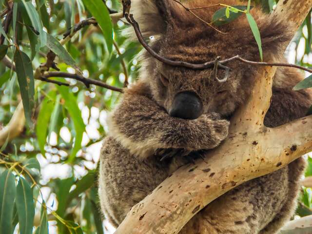 Highlights of Australia and New Zealand