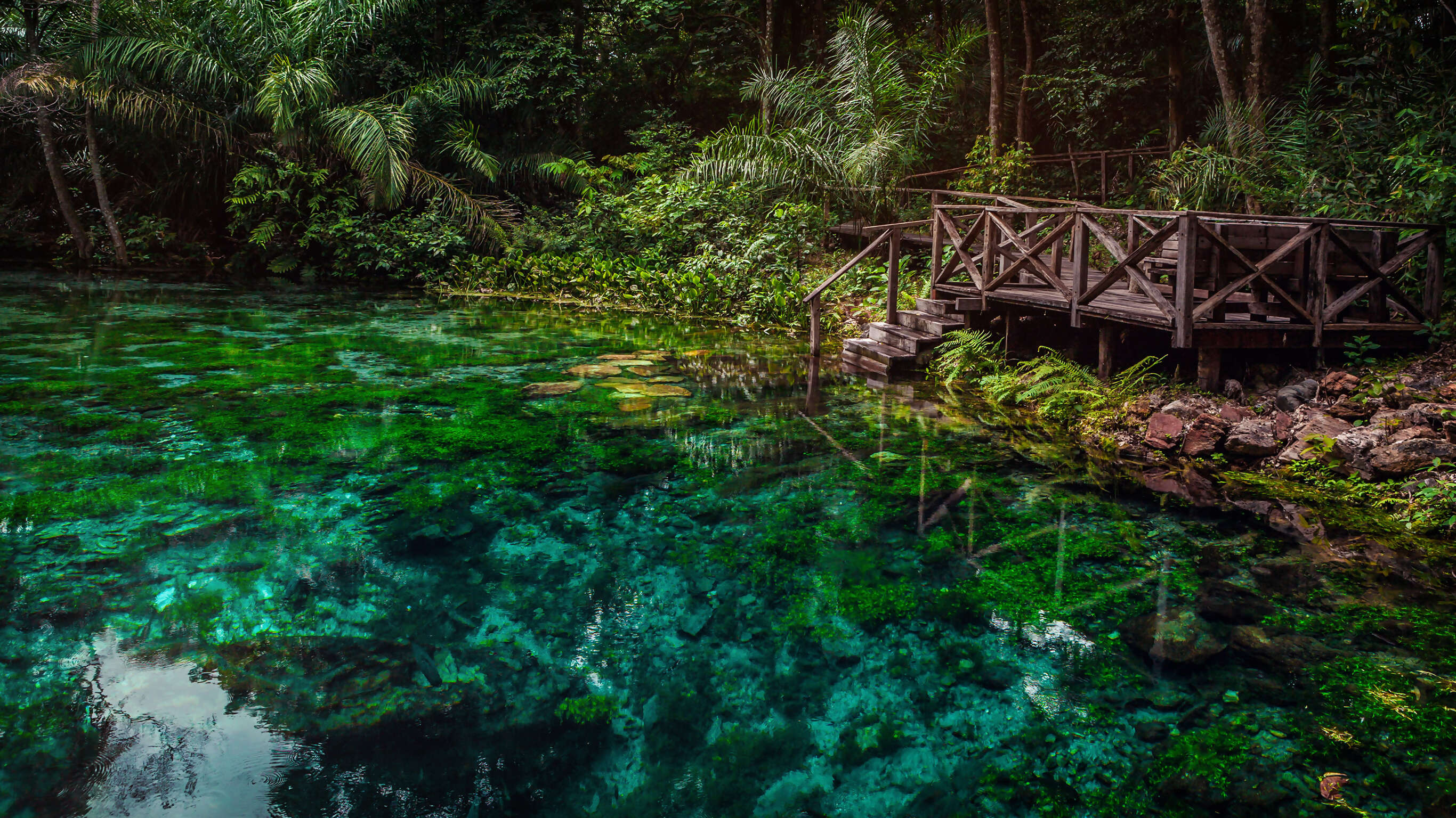 Explore Northern Brazil & Amazon