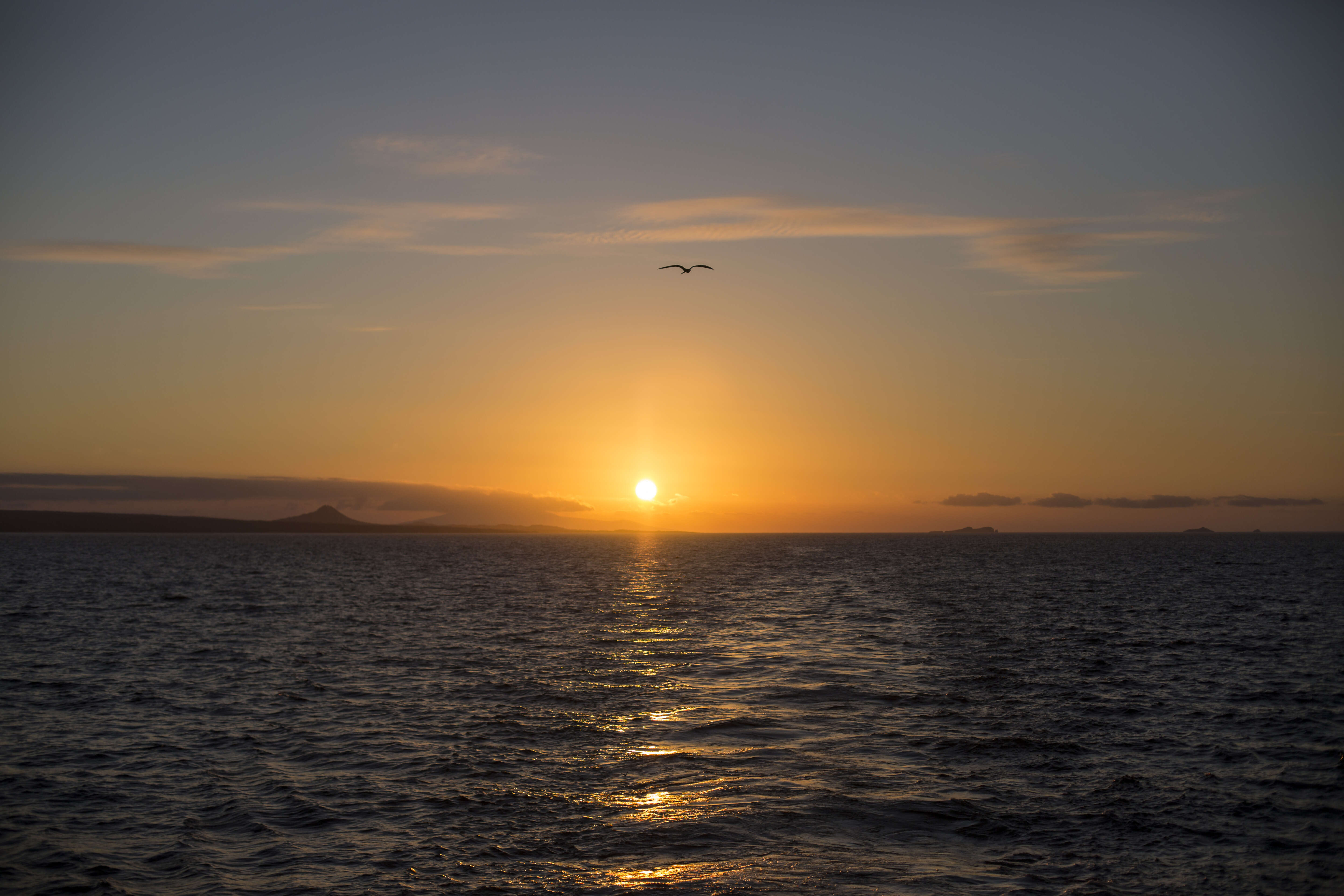 Complete Galápagos - Estrella del Mar