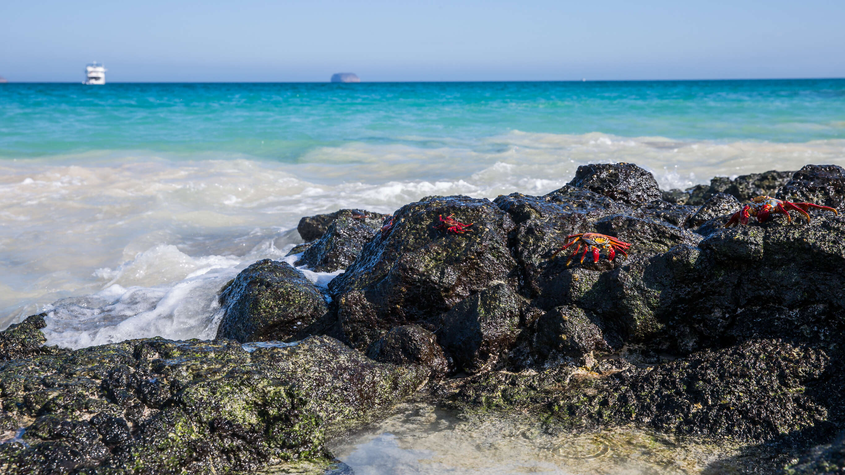 Galápagos — South & East Islands aboard the Monserrat