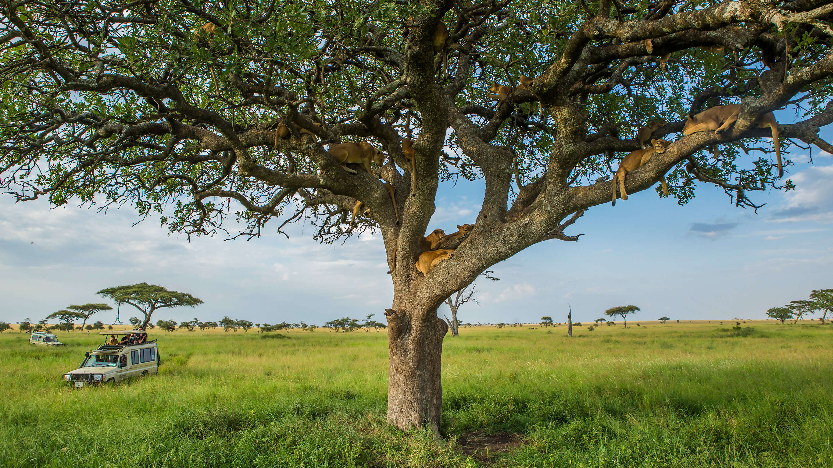 Tanzania Family Journey: A Serengeti Safari