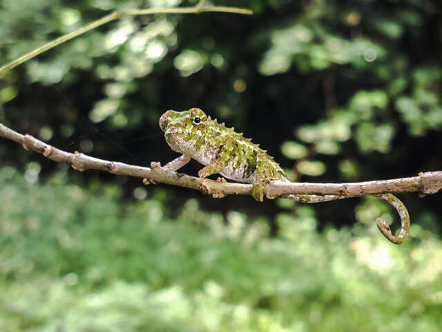 Highlights of Madagascar