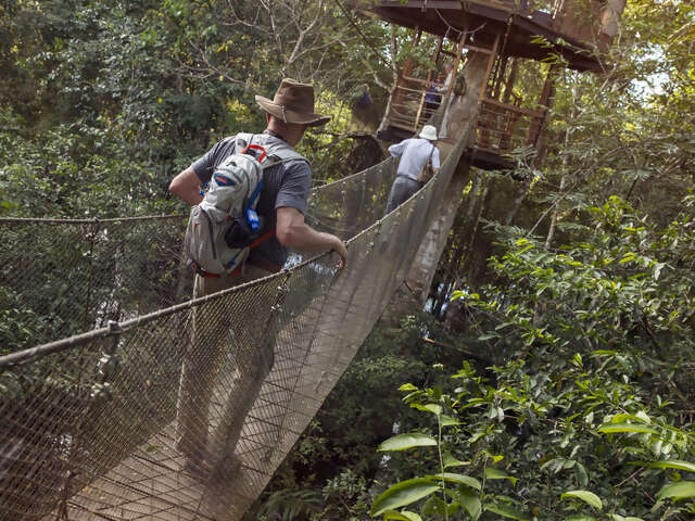 Amazon to the Andes