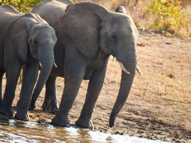 Cape Town, Kruger & Namibia