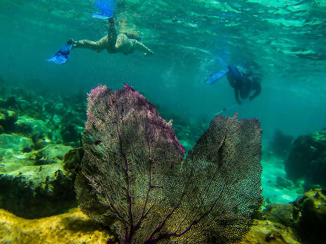 Explore Belize