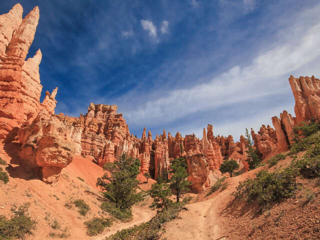 USA Road Trip: Big Cities & West Coast Parks