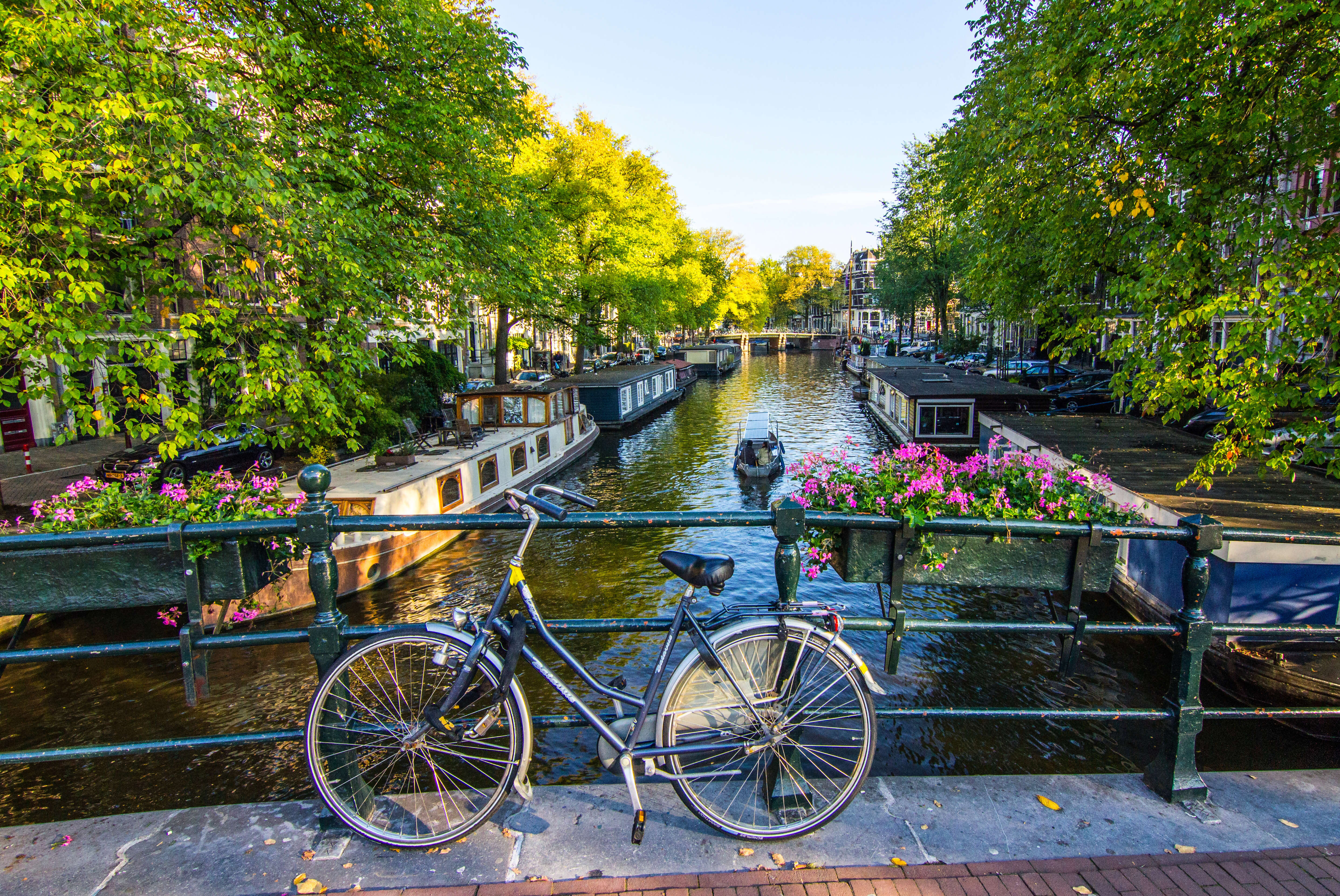 Europe's Cosmopolitan Cities: Amsterdam, Brussels & Paris featuring the Keukenhof Gardens