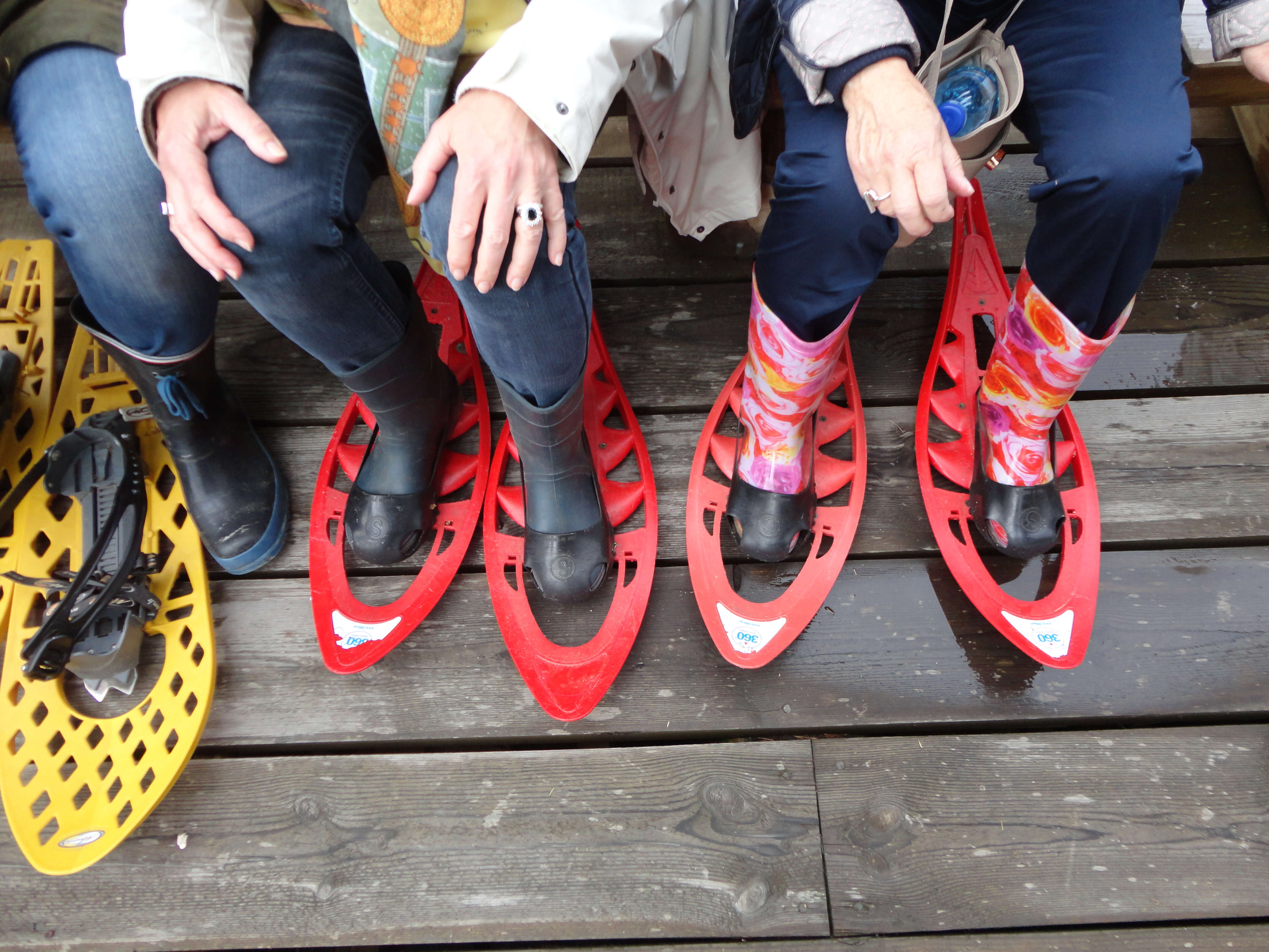 The Baltics Revealed