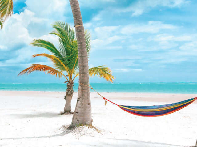 Beach Vacations